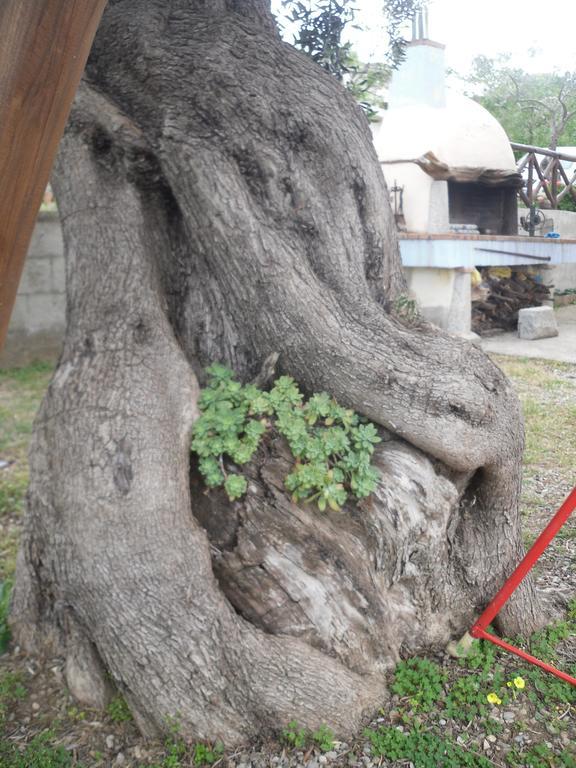 Appartamento Maremontagna Cardedu Luaran gambar